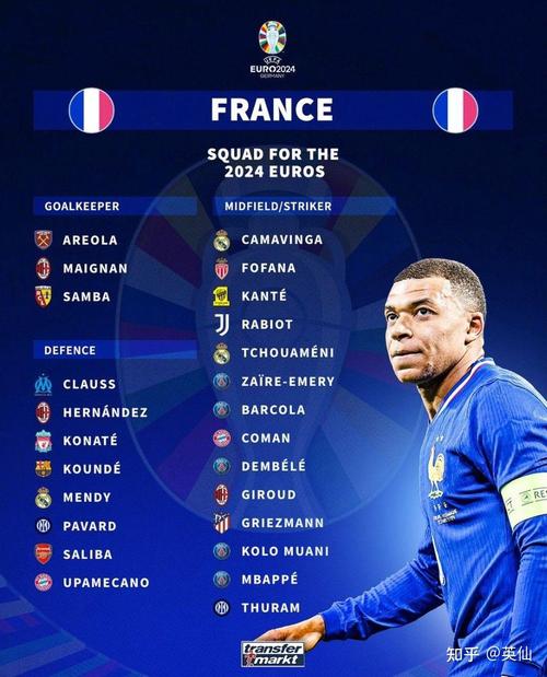 法国举办的欧洲杯（法国公布欧洲杯大名单）